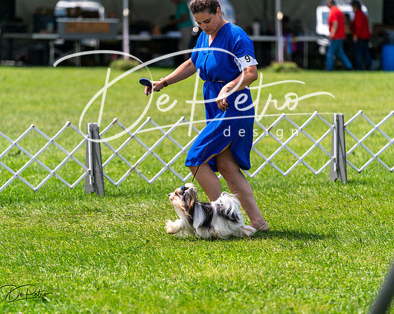 20240630-DSC01604