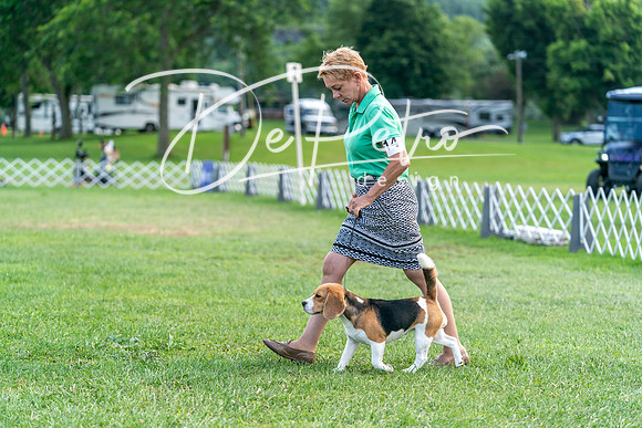 20240630-DSC05408