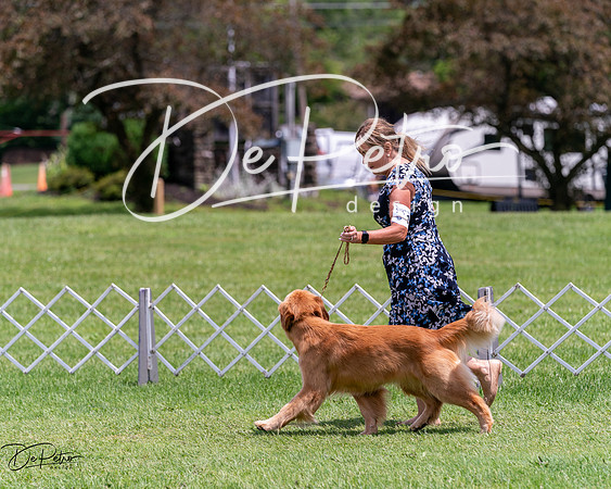 20240630-DSC00522