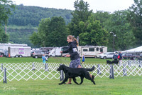 20250626-DSC02193