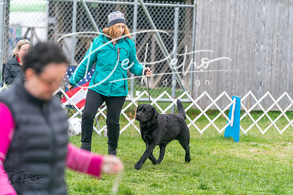 20240428-DSC00073