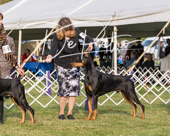 20190929-DSC02022