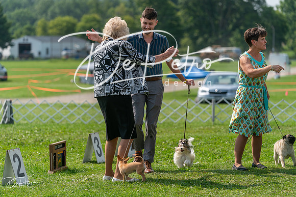 20240816-DSC00496