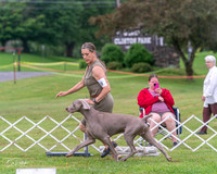 20250626-DSC03934