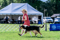 20240630-DSC04700
