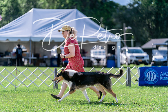 20240630-DSC04700