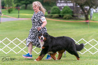 20250628-DSC07526