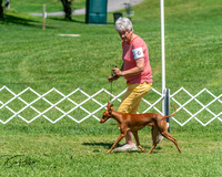 20250629-DSC09499