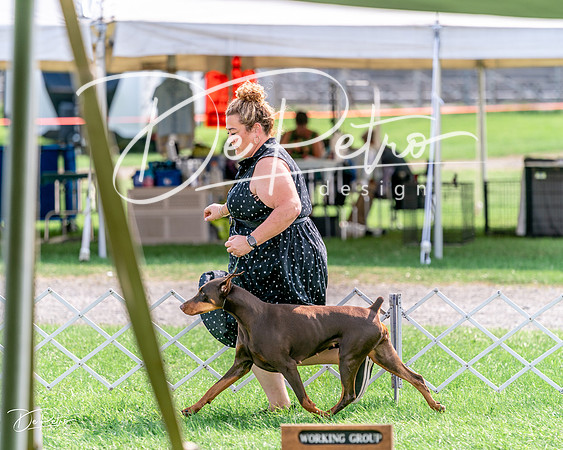 20240815-DSC07489