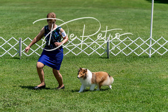 20240630-DSC01380