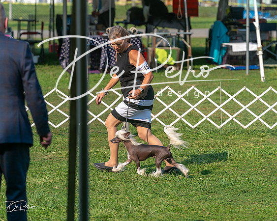 20240913-DSC00144