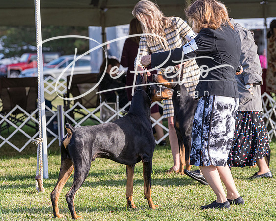 20190929-DSC02190