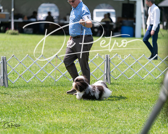20240630-DSC01520