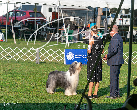 20240913-DSC00171