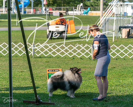 20240913-DSC00487
