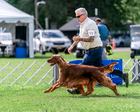 20240630-DSC03893