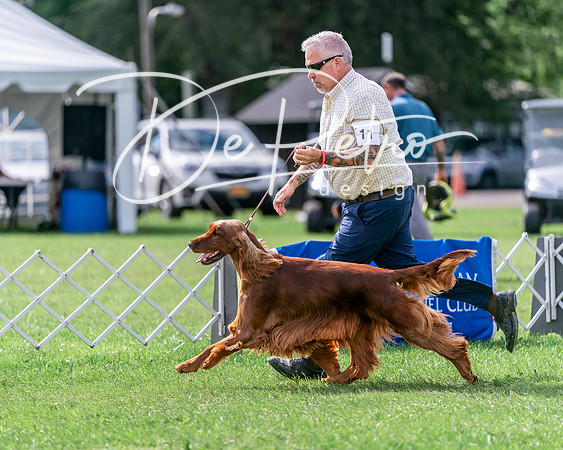 20240630-DSC03893