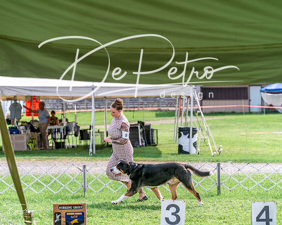 20240815-DSC07637
