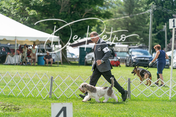 20240630-DSC02286