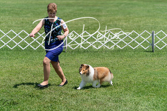 20240630-DSC01384