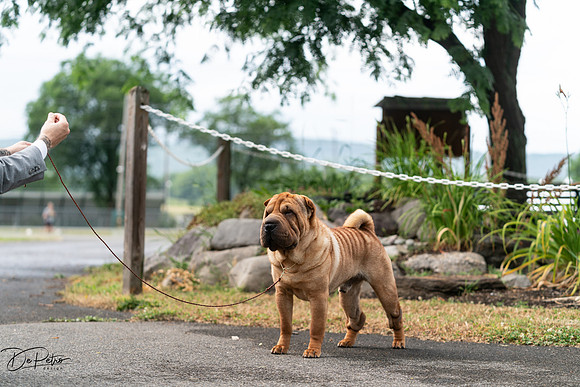 20240621-DSC02943
