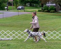 20250627-DSC06339