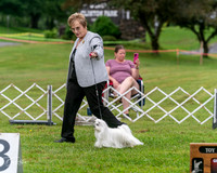 20250626-DSC03023