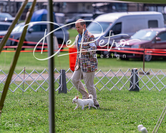 20240815-DSC06605
