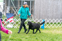 20240428-DSC00068