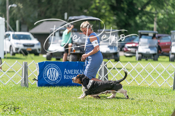 20240630-DSC02336