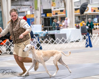 20250301-DSC04582