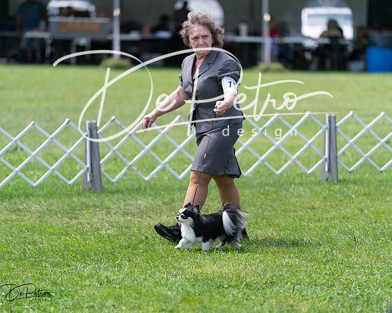 20240630-DSC01578