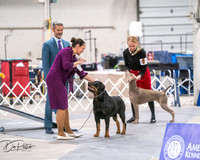 20250301-DSC04541