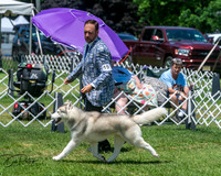 20250629-DSC09359