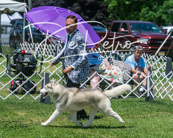 20250629-DSC09359