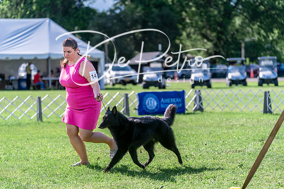 20240630-DSC04662