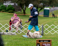 20250626-DSC03083