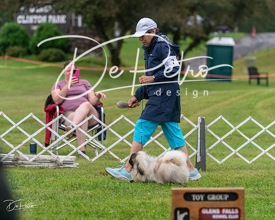 20250626-DSC03083