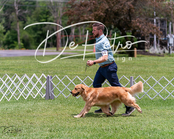 20240630-DSC00578
