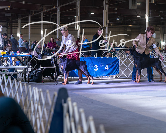 20250302-DSC07287