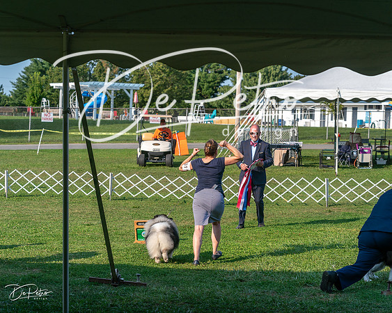20240913-DSC00507