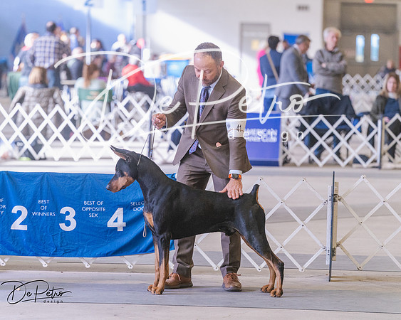 20250302-DSC07232