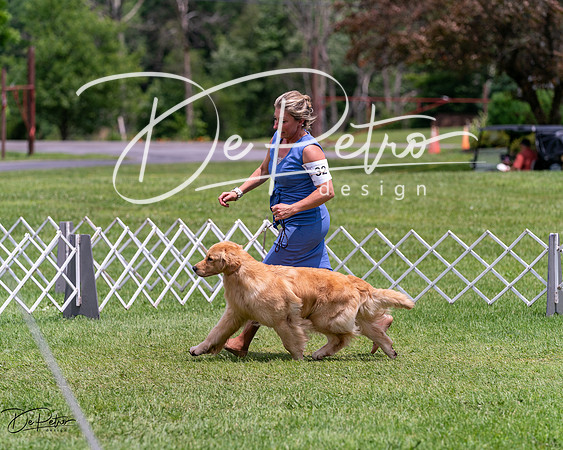 20240630-DSC00623