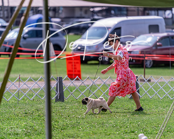 20240815-DSC06577