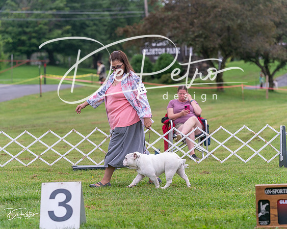 20250626-DSC03801