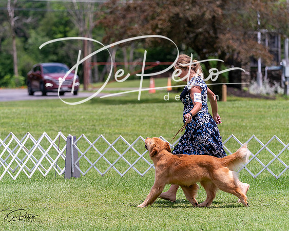20240630-DSC00532