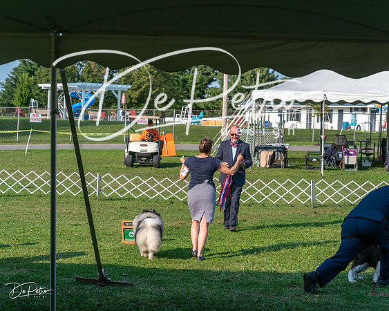 20240913-DSC00513