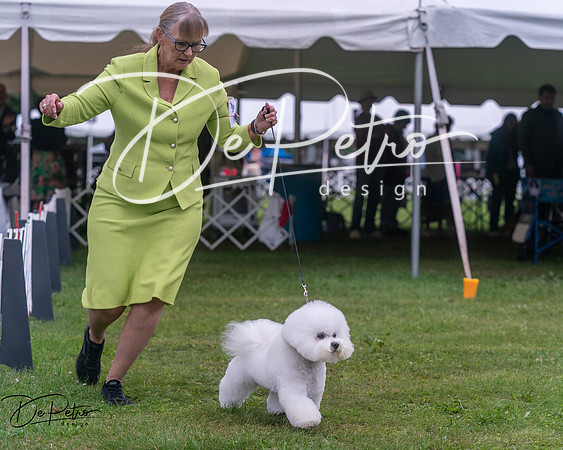 20250627-DSC06722