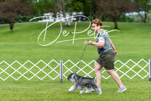 20190630-DSC06478