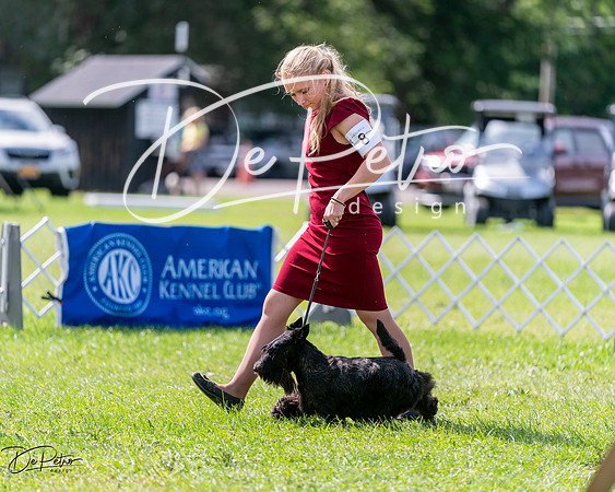 20240630-DSC03647